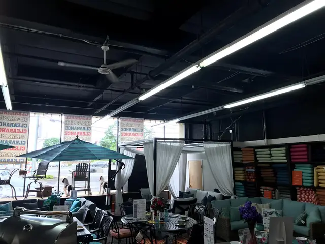 Backyard Masters, before the LED upgrade, photo 2