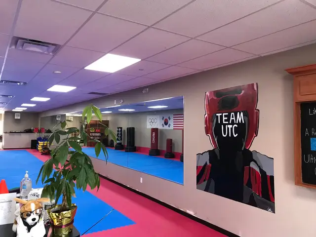 Ultimate Taekwondo of Selden, after the LED upgrade, photo 2