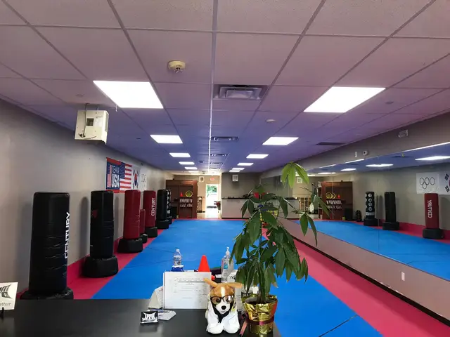 Ultimate Taekwondo of Selden, after the LED upgrade, photo 3